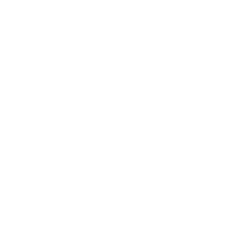 ELECTROCARRION